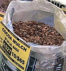 cocoa_mulch