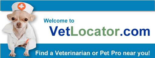 Vetlocator.com - Chihuahua mascot