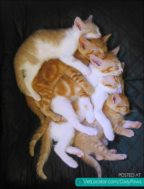 group-hug.jpg