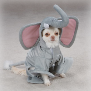 to-costume-or-not-to-costume-01