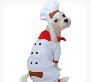 to-costume-or-not-to-costume-04