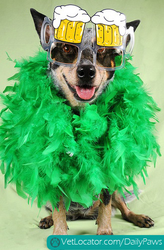 awesome-pets-dressed-up-ready-for-irish-parade-03