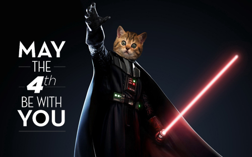 Northwest Orthodontics | May The 4th Be With You - Northwest.