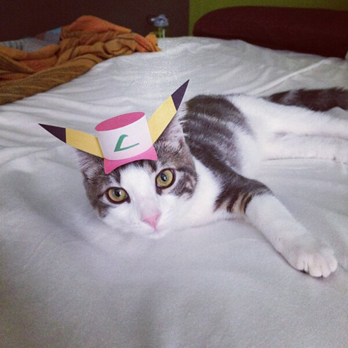 three-legged-kitty-wears-tiny-paper-hats-01