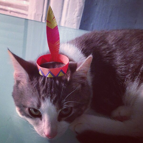 three-legged-kitty-wears-tiny-paper-hats-05