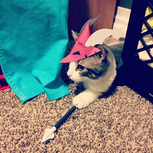 three-legged-kitty-wears-tiny-paper-hats-08