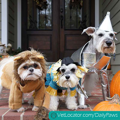 halloween-pet-parade-02