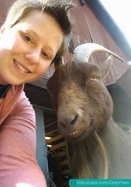 Funny-animals-human-selfies-12