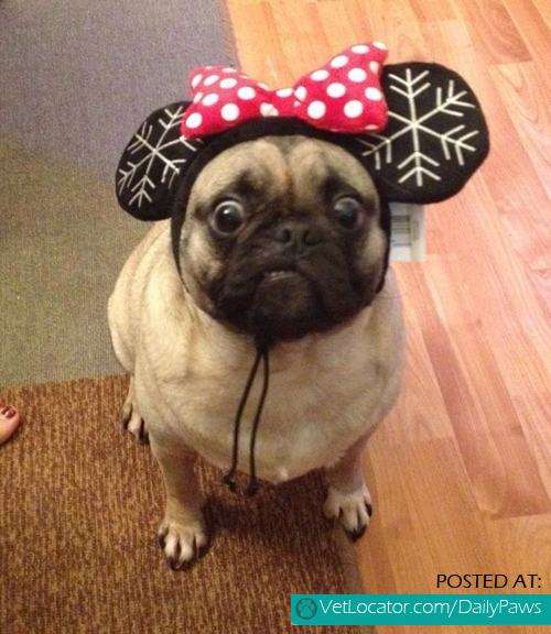 I is minnie mouse
