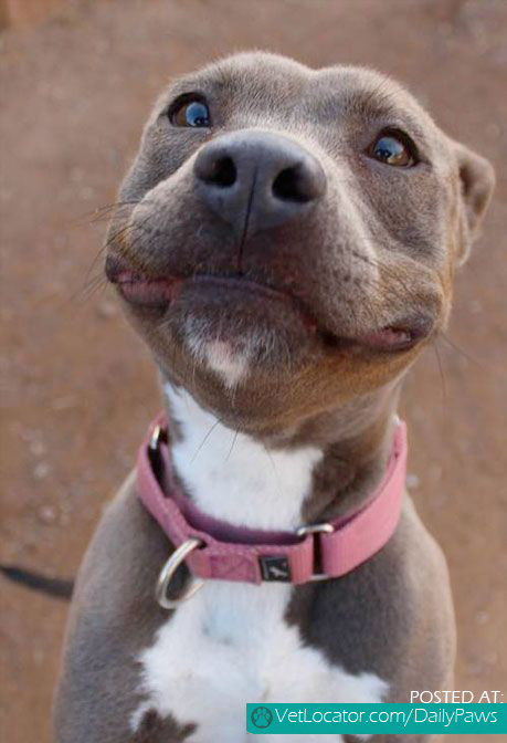 She just melted my heart! Sweetest face.