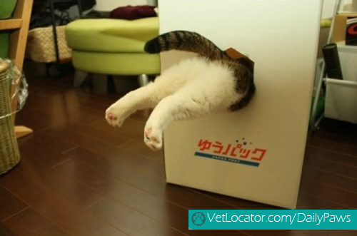 if-i-fits-i-sits-05