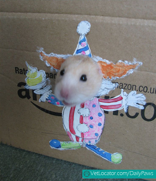 dress-up-hamster3