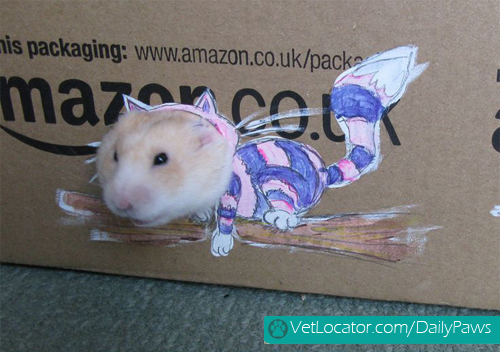 dress-up-hamster4