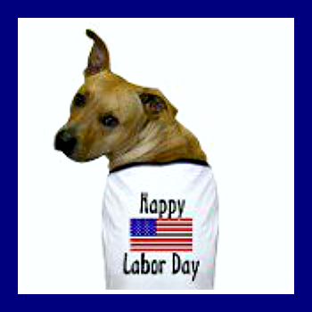 VetLocator.com Daily Paws Happy Labor Day!