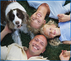 Veterinarians, vets, pet clinics, holistic vet directory