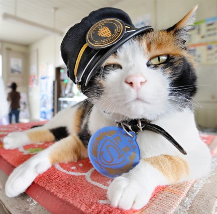 Tama