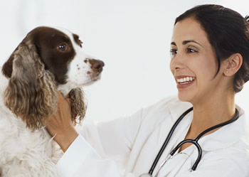 VetLocator.com Survey